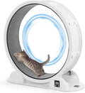 Pedometer 10 Minutes Fast and Easy Installation 41 Inch Large Cat Treadmill Running Fitness Workout Wheels for Indoor Cats
