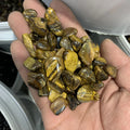 Wholesale Healing Gemstone Crystal tiger Eye Healing Raw Quartz Tumbled Gravel for Decoration