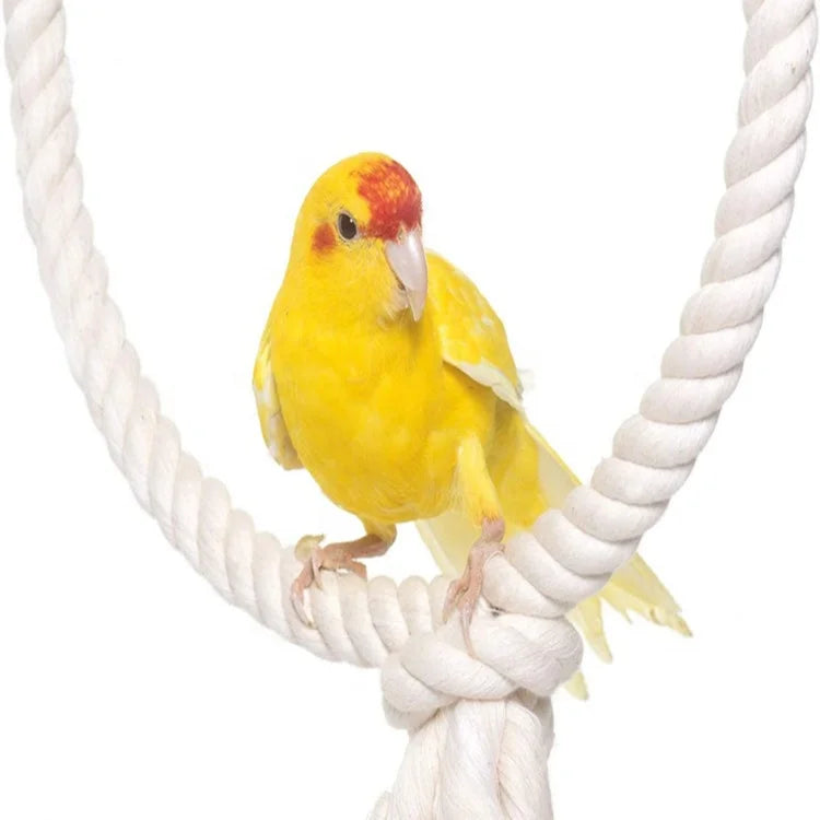 Art Craft Sewing Supplies Cotton Macrame Cord Rope Twine String Thread Twisted Knitted Braided 2 mm to 10 mm