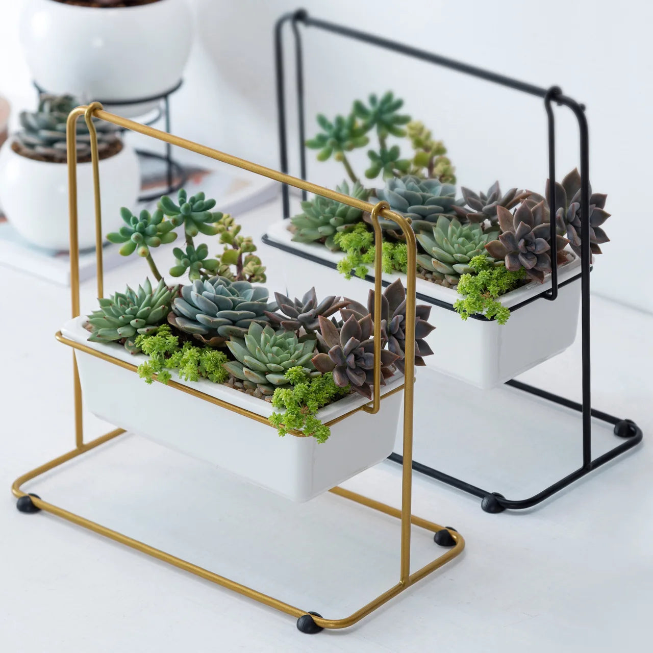 Modern Succulent Flower Plant Pots Rectangular Ceramic Glazed Floor Pots White/Gold/Black Options Customizable for Home Hotel