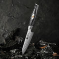 Luxury Custom M390 Damascus Powder Steel Fruit Knives Carbon Fiber Resin Handle Kitchen Paring Knife New