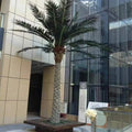 High Simulation Outdoor Decor Artificial Plants Large Coconut Palm Tree Other Trees Premium Quality Artificial Plant for Outdoor