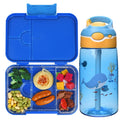 Aohea Food Container Blue Pink Color Cute Kids Bpa Free Eco-Friendly Plastic Bento Lunch Box With Water Bottle
