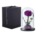 D12 H20 Glass Dome Immortal Everlasting 7-8 cm Purple Preserved Flowers Beauty and the Beast Rose