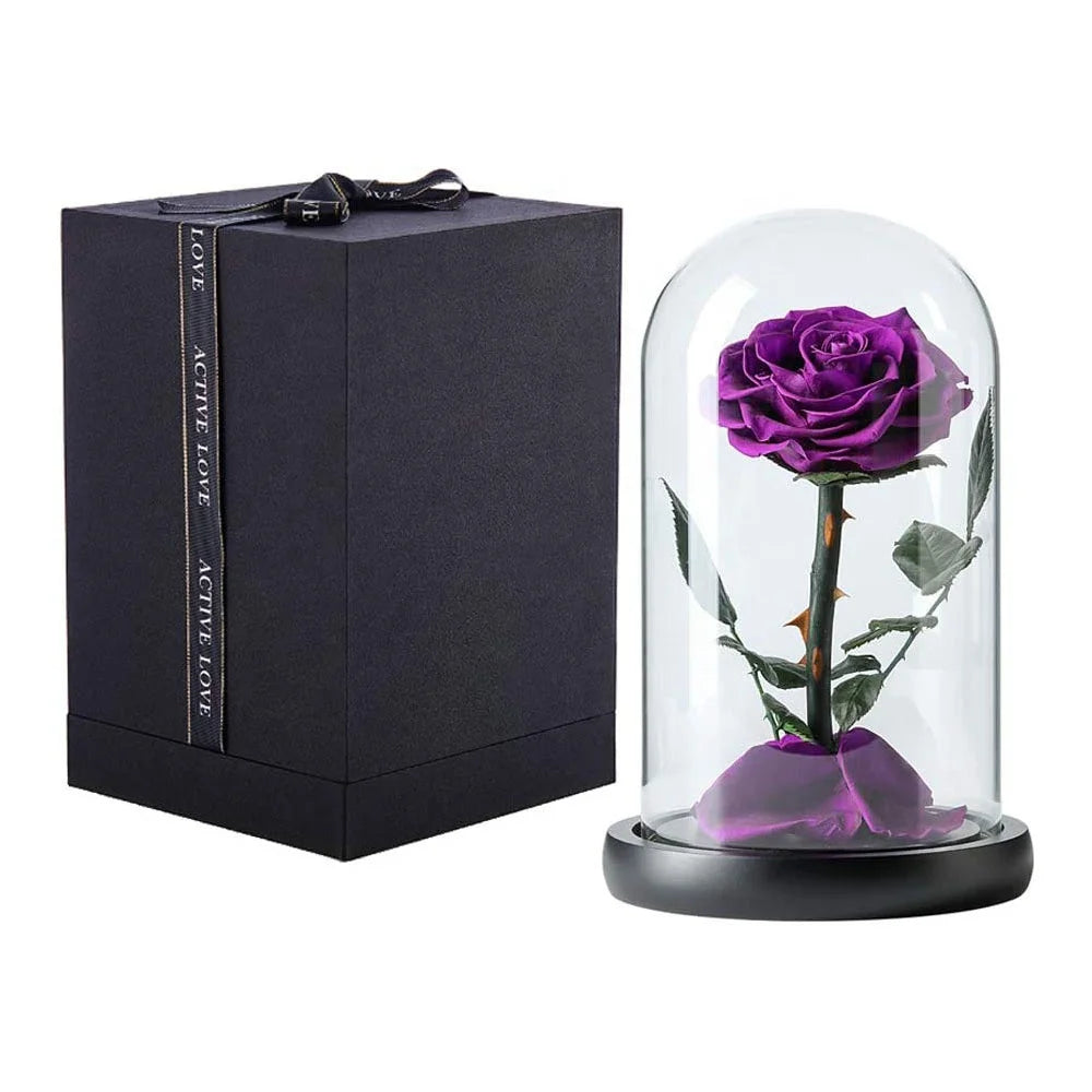D12 H20 Glass Dome Immortal Everlasting 7-8 cm Purple Preserved Flowers Beauty and the Beast Rose