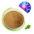 Cosmetics Grade Bulk Urtica Dioica Fruit Extract Powder Stinging Root Nettle Leaf Extract Powder Factory Supply From China