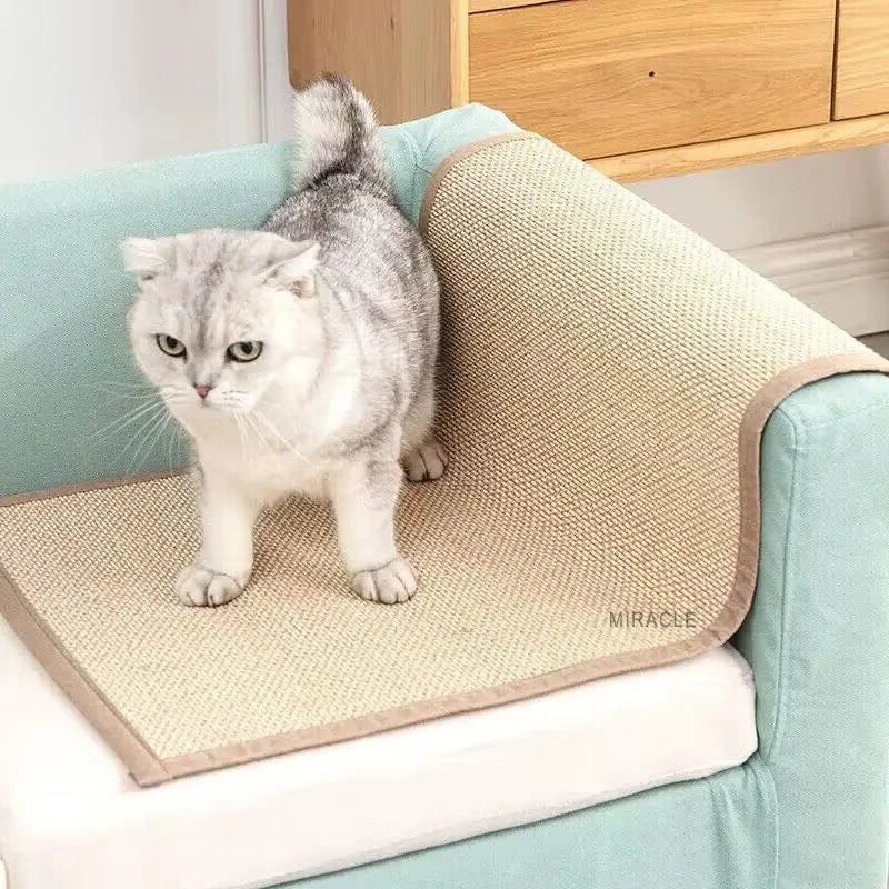 Cute Custom Printed Nylon Long Carpet  Cat Mats Sofa Scratch Rugs Cat Anti Scratcher Carpet Pads