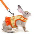 Pet Harness Set for Rabbit Cat Small Animals Outdoor Pets Supplies Rabbit Clothes Accessories Rabbit Harness and Leash