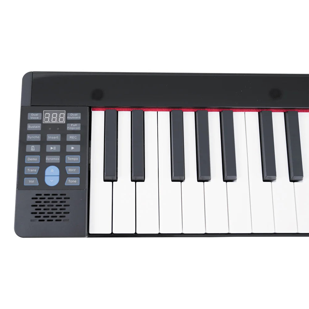 Wholesale Musical Instrument Weighted 61 Keyboard Upright Digital Piano