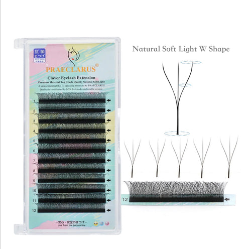 0.05mm Eyelashes Hand Made Trays Dd Tools Kit Lash Extensions Natural W Flowering Eyelash 3D Wholesale C D DD