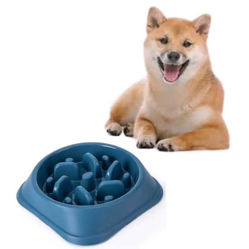 Custom Slow Puzzle Feeder Dog Bowl: Fun and Healthy Mealtime for Slow Feeder Dog Bowl