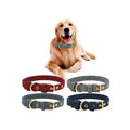 Various Styles Popular Designer Luxury Dog Collar Leash Factory Pet Harness