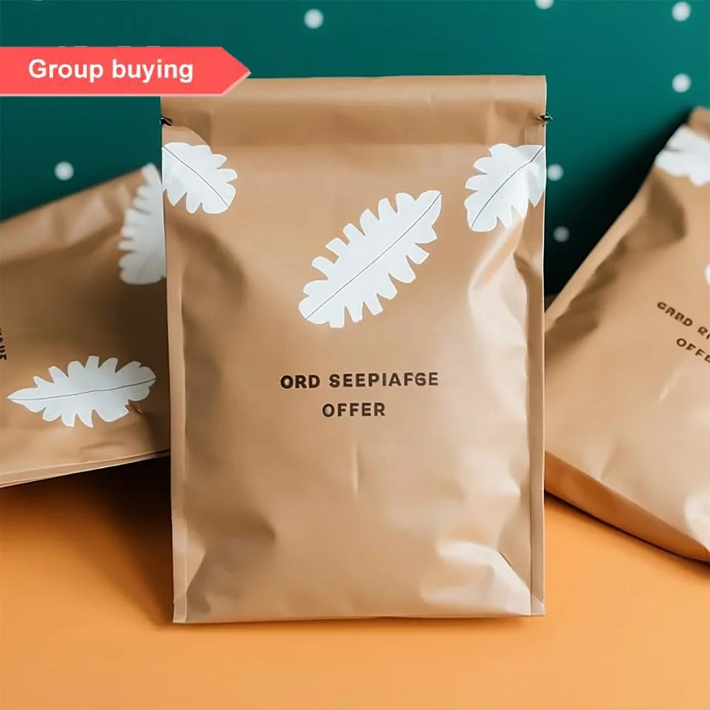 Biodegradable Packaging Post Poly Mailers Plastic Envelopes Padded Mailing Shipping Bags for Clothing Custom Logo Pe Express Bag
