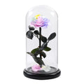 Original Factory Wholesale Long Lasting Fresh Flower Stem Forever Real Touch Preserved Rose in Glass Dome