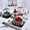 Christmas Valentines Day Gift Natural Eternal Preserved Rose in Glass Dome Led Forever Rose Flowers Gift for Women Girls