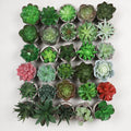 YOPIN 221 Artificial Flowers Pot Pulp Degradable Artificial Succulent Plants Small Succulent Pots