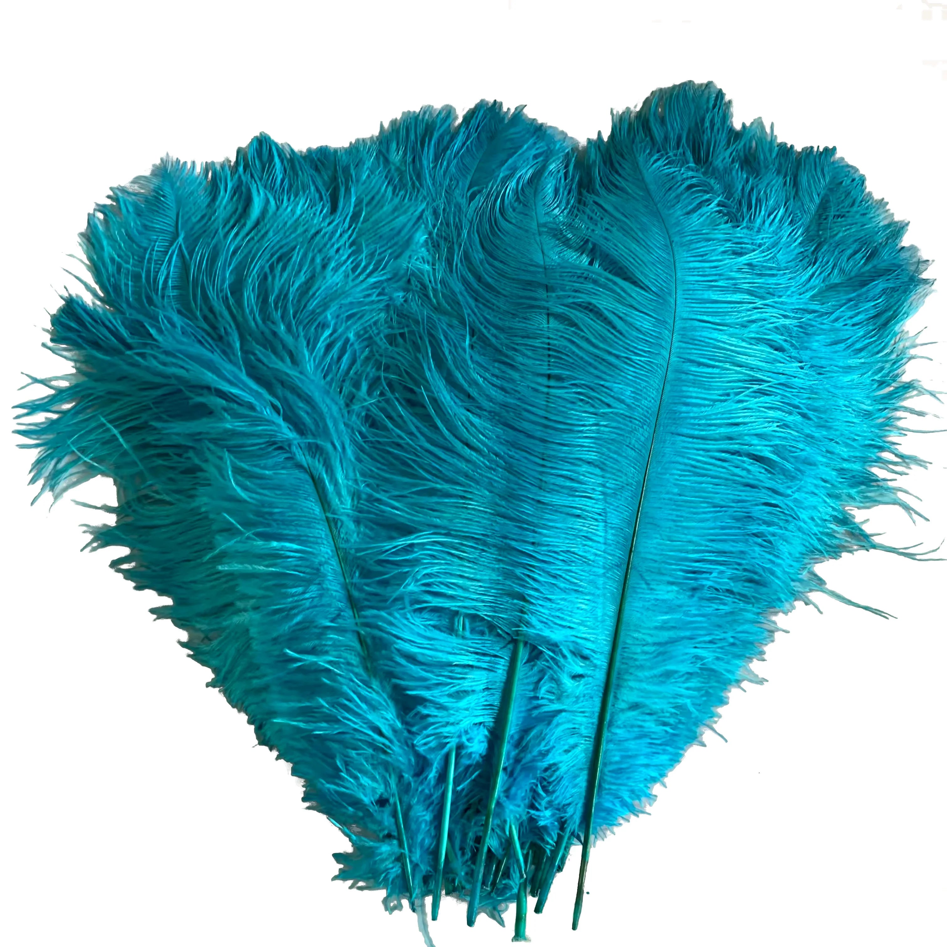 Natural Blue Plume Ostrich Feathers for Party Carnival Home Wedding Centerpiece Christmas Vase Holiday Decor DIY Craft Floral