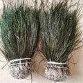 Factory Wholesale Peacock Herl Strung Peacock Feathers for Fly Tying