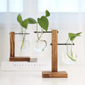Creative Minimalist Wooden Frame Water Culture Vase Green Dill Glass Flower Arrangement Container for Desktop Home Decoration