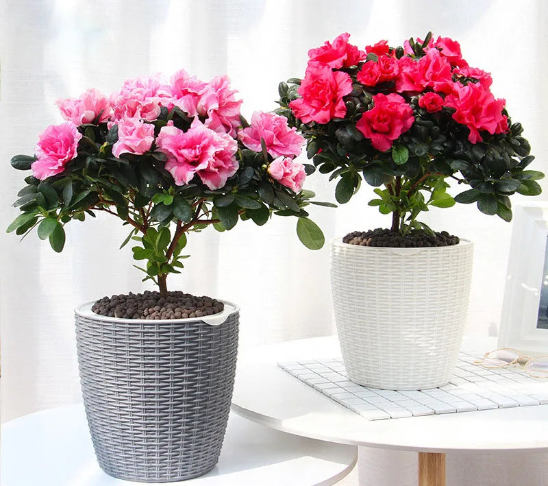 Plastic Knitting Flower Garden Planters Self Water for Indoor Plants Self Watering Plant Pot with Wick Cotton Rope