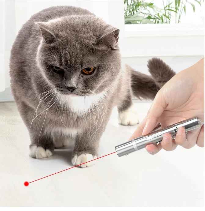 2023 Manufacturer Wholesale Custom Automatic Interactive Teaser Pet Laser Pointer Light Cat Laser Toy