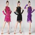 Latin Dance Fringe Skirt Sleeveless Sequin Fringe Latin Dance Performance Dress Competition Dress Latin Dance Performance