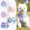 Newest High Quality Pet Accessories Wholesale China Nylon Harness for Small Dog