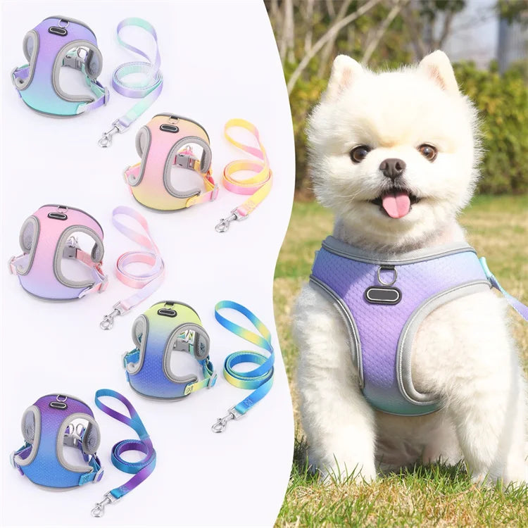 Newest High Quality Pet Accessories Wholesale China Nylon Harness for Small Dog