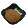 Wholesale Natural Gallnut Extract With Active Ingredient Tannic Acid