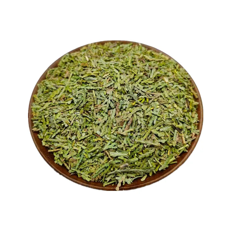Ce Bai Ye Dried Raw Bulk CACUMEN PLATYCLADI Leaf Platycladus Orientalis Leaves for Sale