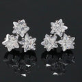 REETI 925 Sterling Silver Star Crystal Stud Earrings for Women Elegant Wedding Jewelry Zirconia Studs Earrings