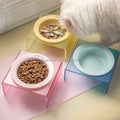 Tilted Raised Elevated Food or Water Bowl Stand for Cat or Small Dog Puppy Ceramic Dish for Pet Modern Durable and Easy to Clean