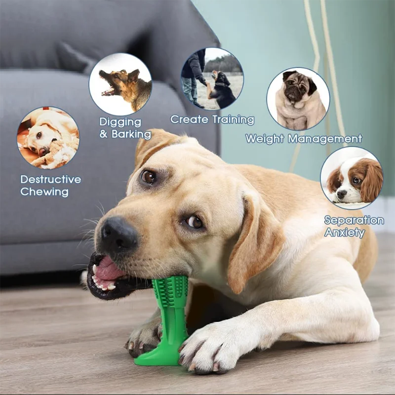 Customized Rubber Leaky Interactive Educational Indestructable Dog Toys Grinding Teeth Clean Eco-friendly Squeaker Pet ChewToys