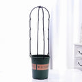 Garden Climbing Trellis Natural Fencing Plastic U-shaped Trellis Climbing Vine Flower Plants