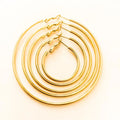 Simple Fashion Titanium Steel Round Wire Popular Daily Wear Big Circle Drop Earrings Wholesale Ear Buckle Products