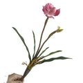 New Arrival Artificial Orchid Goddess Slippers Simulation Flowers 2 Head Paphiopedilum