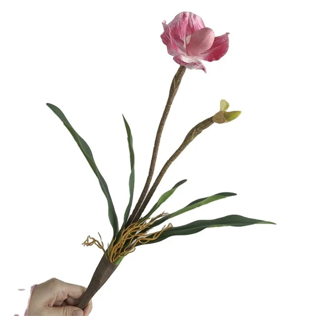 New Arrival Artificial Orchid Goddess Slippers Simulation Flowers 2 Head Paphiopedilum