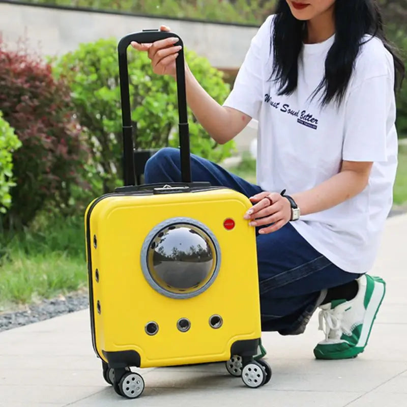 2024 Hot Sell Travel Transport Case Pet Luggage Carrier Fashion Portable Cat Dog Small Animals Luggage
