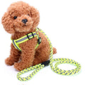 Adjustable Reflective Nylon Pet Dog Harness and Leash Set Pet Harness With Leash for Dog