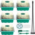 Hot Sale Sprouting Tray Pea Mung Bean Peanut Wheat Hydroponic Planting Seedling Soilless Cultivation Germination Tray