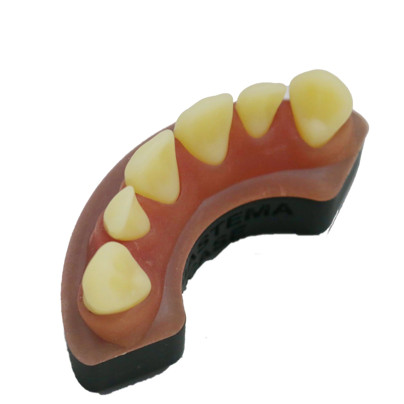 High Precision Customized 3D Printed Dental Model Stainless Steel Wire EDM Material Capabilities