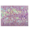 Oval Shape Cotton Wool and Sequins Multicolor Hand Knitting Eco-Friendly Recycled High Tenacity Fancy Yarn Yarn Dyed Infection