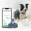 Wireless 4G GPS Dog Fence Remote Control Tracking System Light Voice Search Support for Beidou GLONASS LBS Positioning Modes