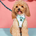 MIDEPET Custom Designer Air Mesh Pet Dog Vest Harness Leash Set New Product with Reflective Fashion Print Made Durable Nylon
