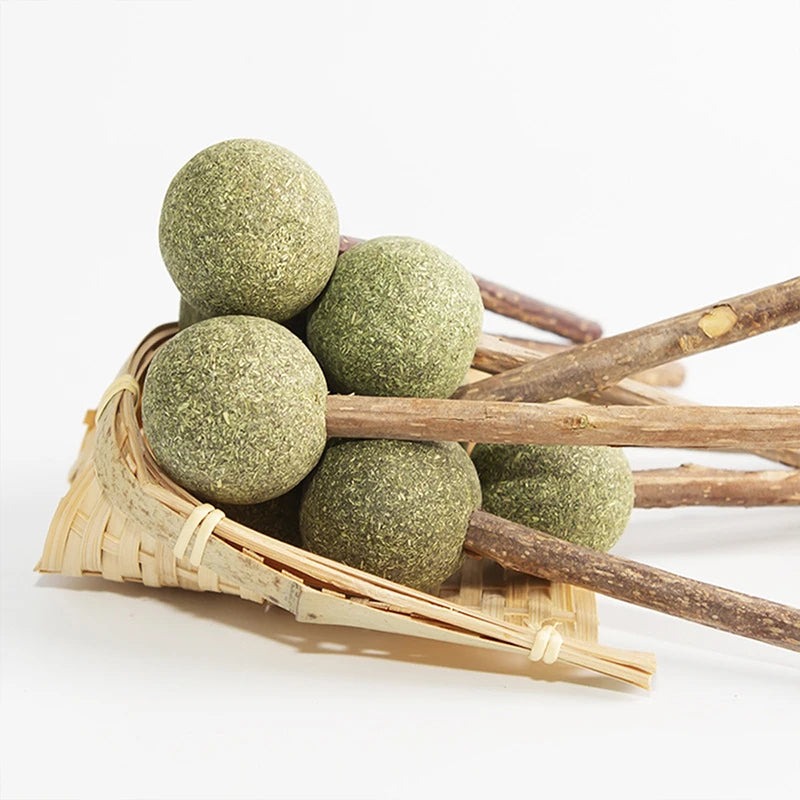 Modern Style Catnip Chew Toys Healthy Interactive & Movement Snacks Different Shapes for Hair Removal-Catnip Balls Lollipops