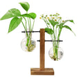 Modern Retro Solid Wooden Stand with New Transparent Glass Planter Vase Terrarium Tabletop Vase for Propagation Hydroponics