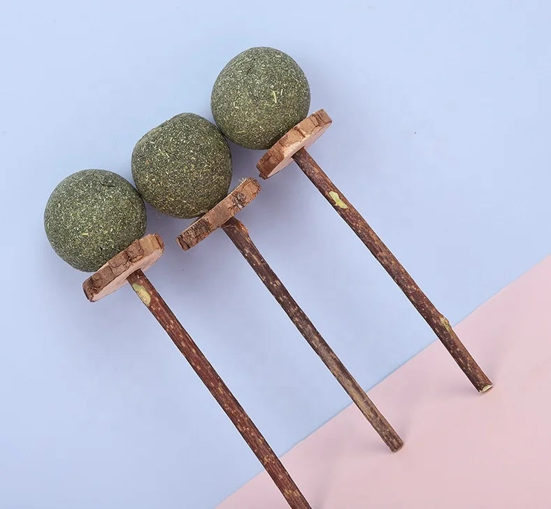 Wholesale Catnip Balls Lollipop Cat Toys Ball Teething Teeth Teasing Sticks Cat Catnip Snacks Toy
