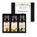 Nature Essential Oil Private Label 100% Pure Natural Rose Lavender Lemongrass Essential Oil Set for Aromatherapy Diffuser