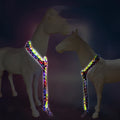 USB Rechargeable Solid Pattern Outdoor Horse Equipment Leash Set Adjustable PU Waterproof with Lights Includes Collar Leash