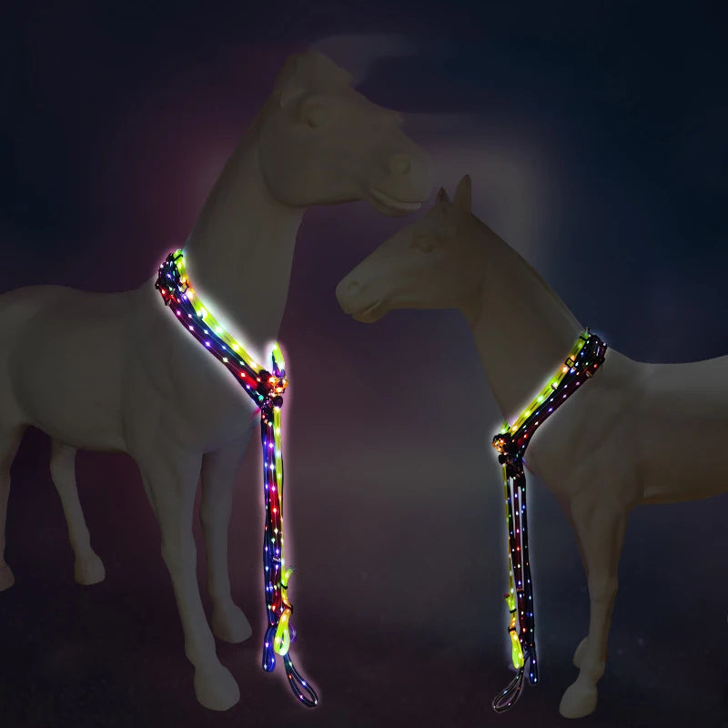 USB Rechargeable Solid Pattern Outdoor Horse Equipment Leash Set Adjustable PU Waterproof with Lights Includes Collar Leash